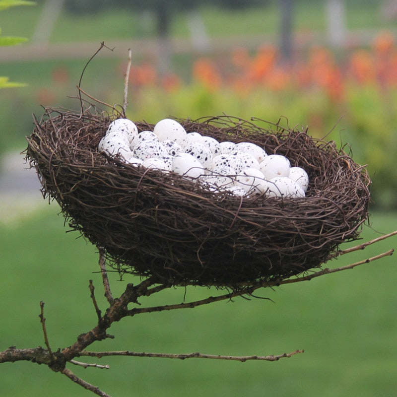 Bird Nests Decor and Props