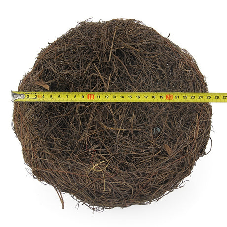 Bird Nests Decor and Props