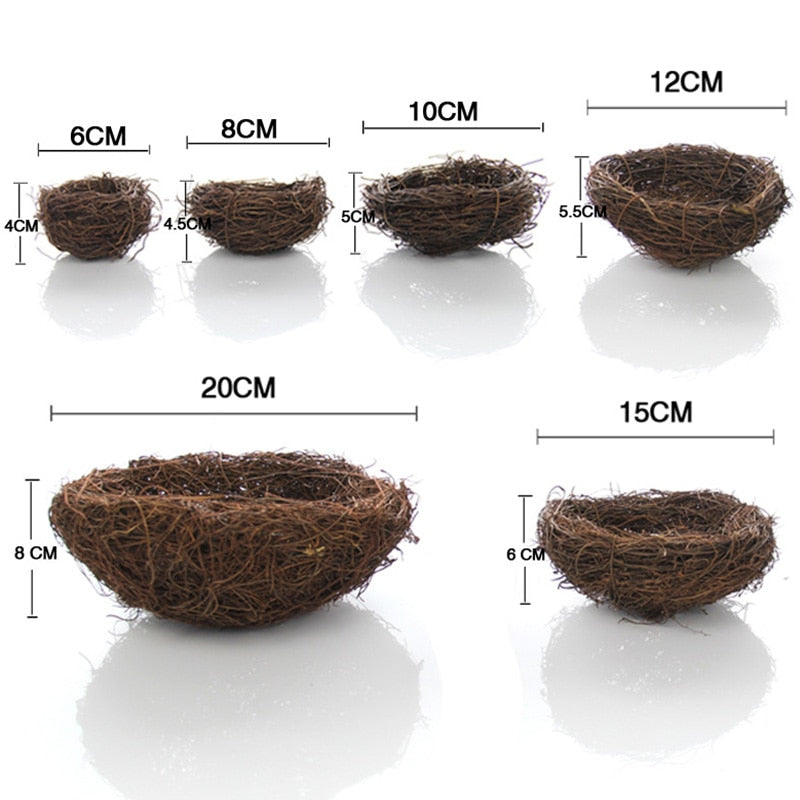 Bird Nests Decor and Props