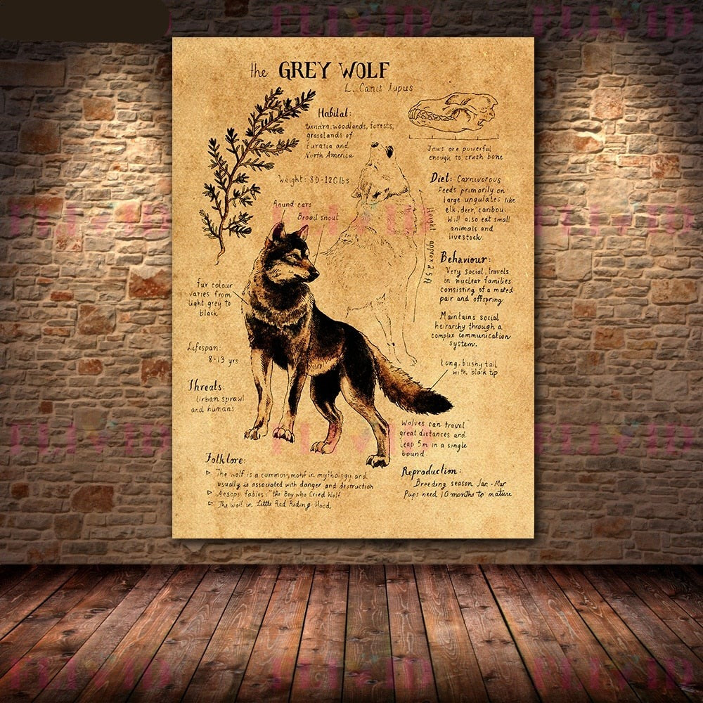 Poster Prints - Dementor, Dragon, Basilisk, Grey Wolf, Phoenix, Thestral, Unicorn and Peruvian Vipertooth