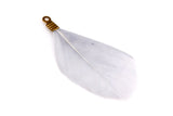 Natural Feathers with Metal Clips for Jewellery Making