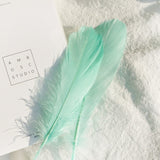 50Pcs Coloured Craft Feathers Dyed Natural Goose Feathers