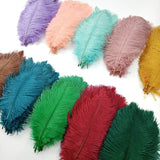Ten Coloured Ostrich Feathers