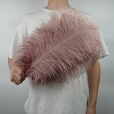 Ten Coloured Ostrich Feathers