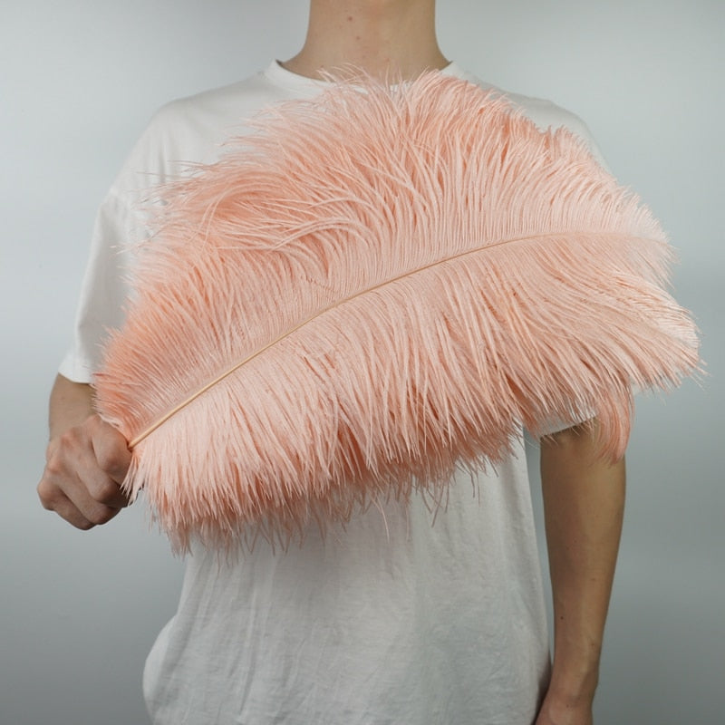 Ten Coloured Ostrich Feathers