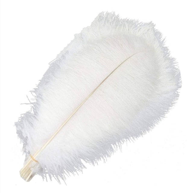 Ten Coloured Ostrich Feathers