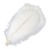 Ten Coloured Ostrich Feathers