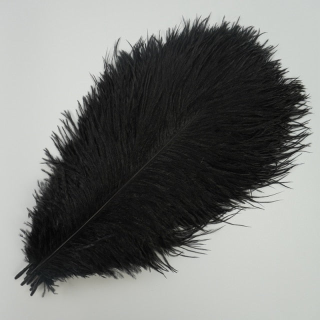 Ten Coloured Ostrich Feathers