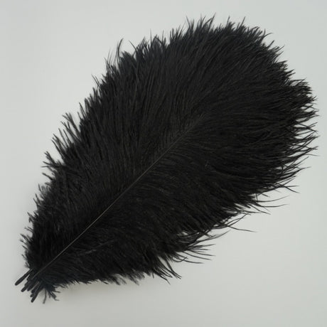 Ten Coloured Ostrich Feathers
