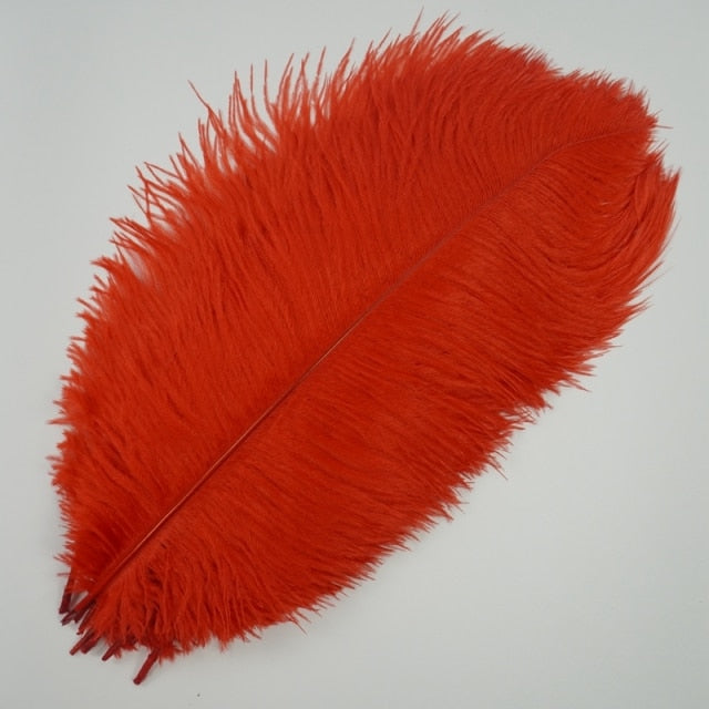 Ten Coloured Ostrich Feathers