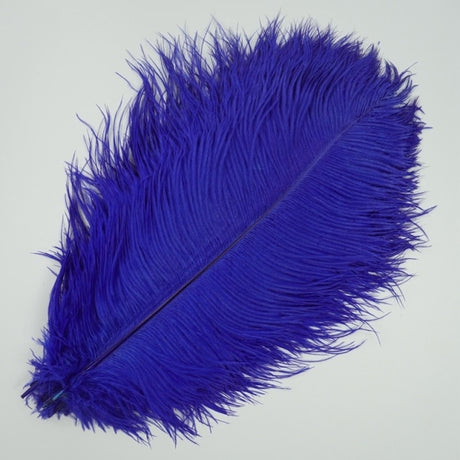 Ten Coloured Ostrich Feathers