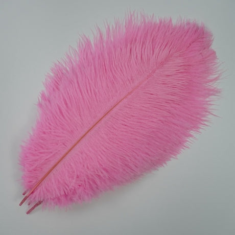 Ten Coloured Ostrich Feathers