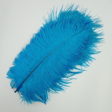 Ten Coloured Ostrich Feathers