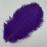 Ten Coloured Ostrich Feathers