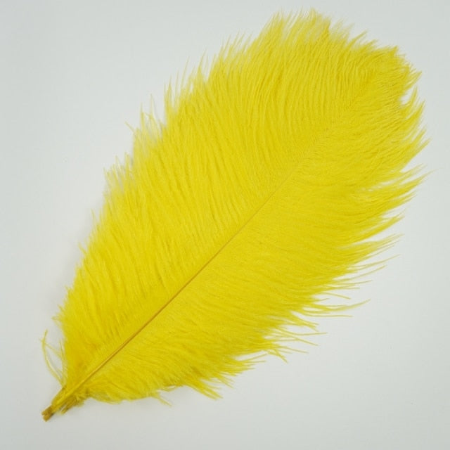 Ten Coloured Ostrich Feathers