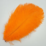 Ten Coloured Ostrich Feathers