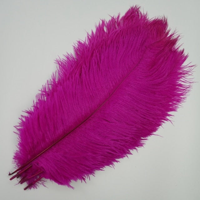Ten Coloured Ostrich Feathers