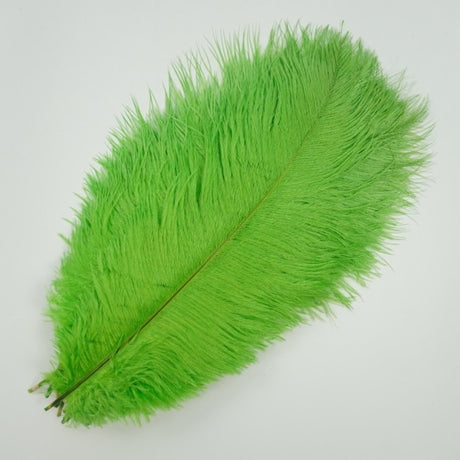 Ten Coloured Ostrich Feathers