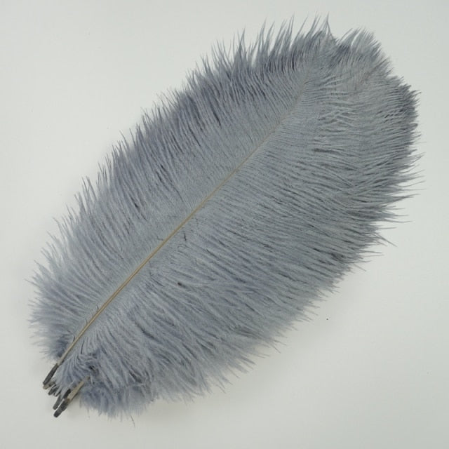 Ten Coloured Ostrich Feathers