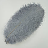 Ten Coloured Ostrich Feathers