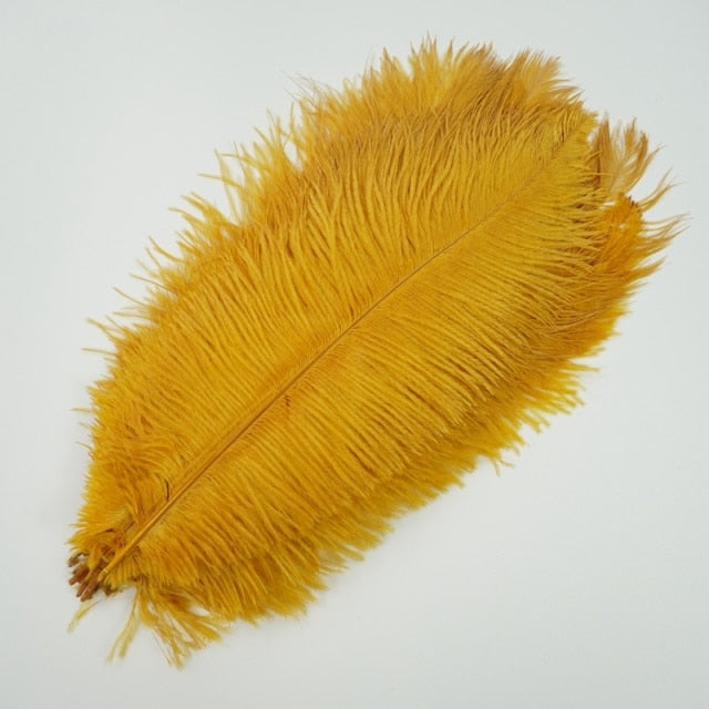 Ten Coloured Ostrich Feathers