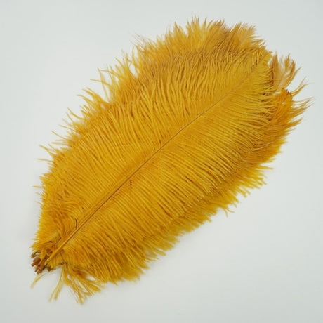 Ten Coloured Ostrich Feathers