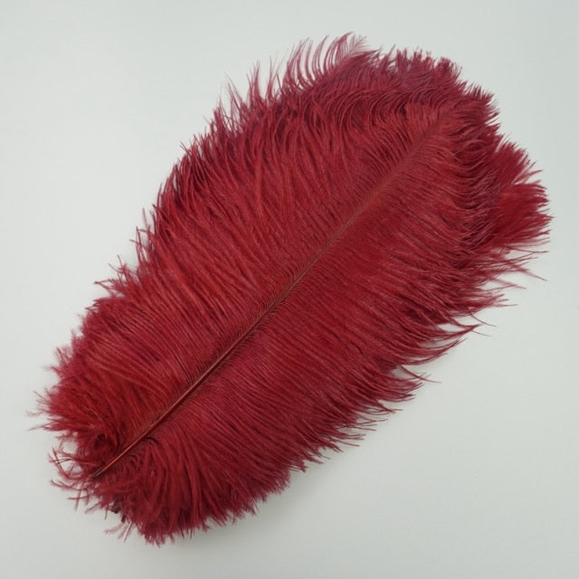 Ten Coloured Ostrich Feathers