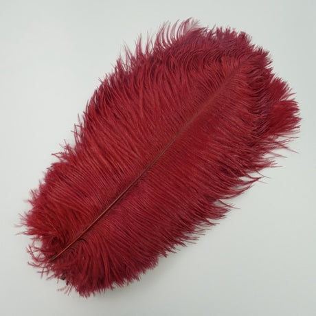 Ten Coloured Ostrich Feathers