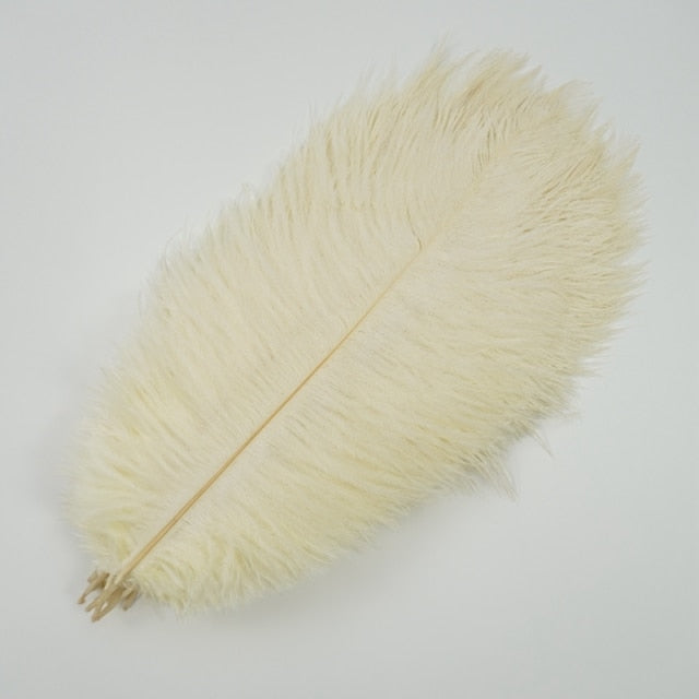 Ten Coloured Ostrich Feathers