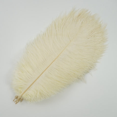 Ten Coloured Ostrich Feathers