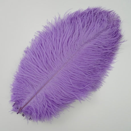 Ten Coloured Ostrich Feathers