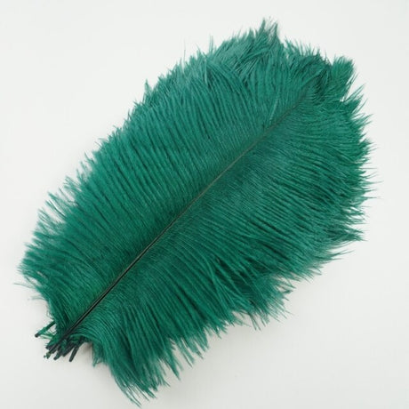 Ten Coloured Ostrich Feathers