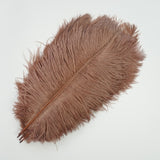 Ten Coloured Ostrich Feathers