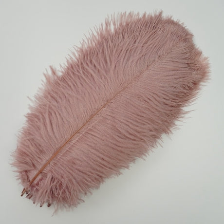 Ten Coloured Ostrich Feathers