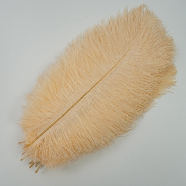 Ten Coloured Ostrich Feathers