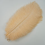 Ten Coloured Ostrich Feathers
