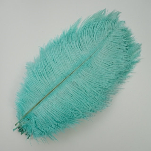 Ten Coloured Ostrich Feathers