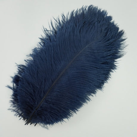 Ten Coloured Ostrich Feathers