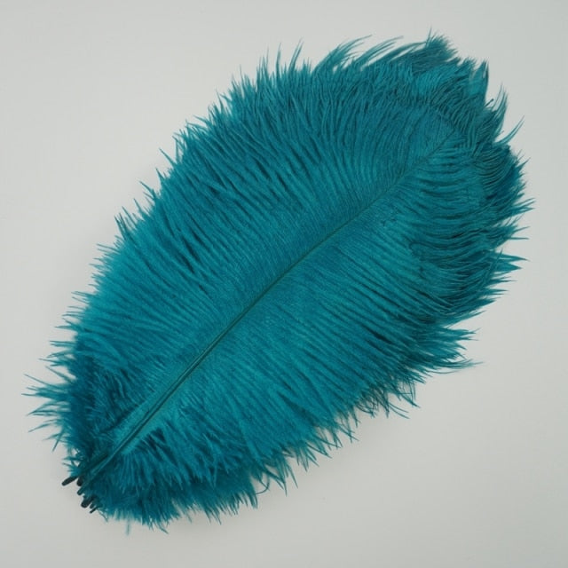 Ten Coloured Ostrich Feathers