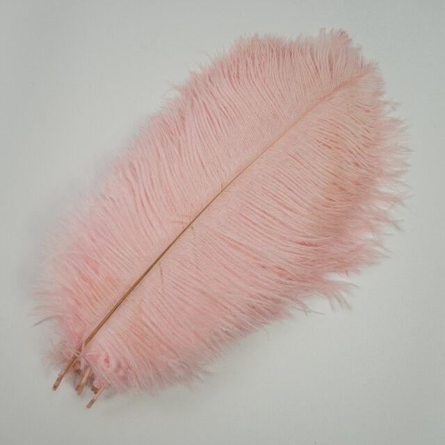 Ten Coloured Ostrich Feathers