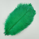 Ten Coloured Ostrich Feathers