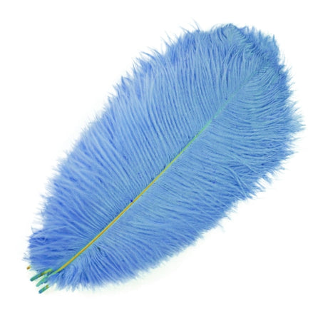 Ten Coloured Ostrich Feathers