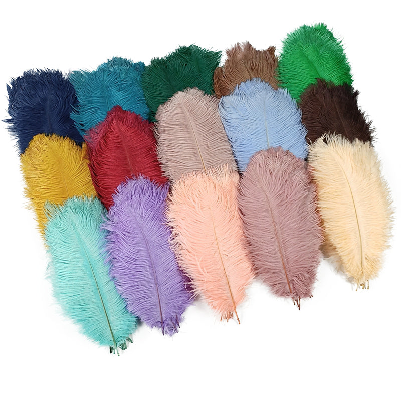 Ten Coloured Ostrich Feathers