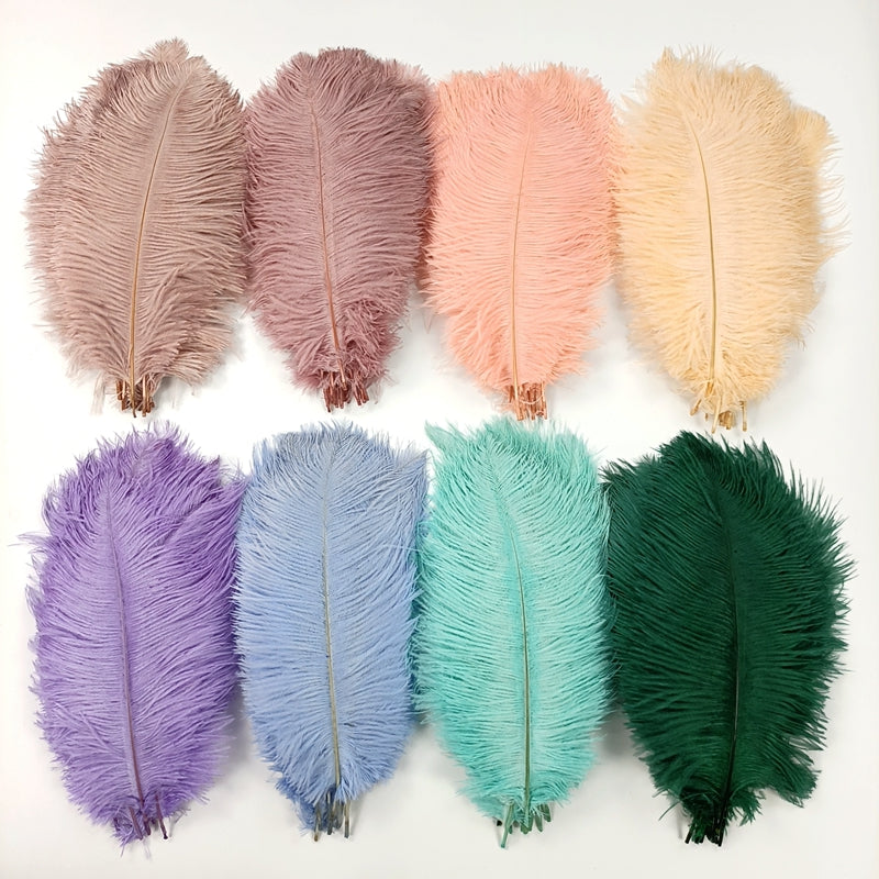Ten Coloured Ostrich Feathers