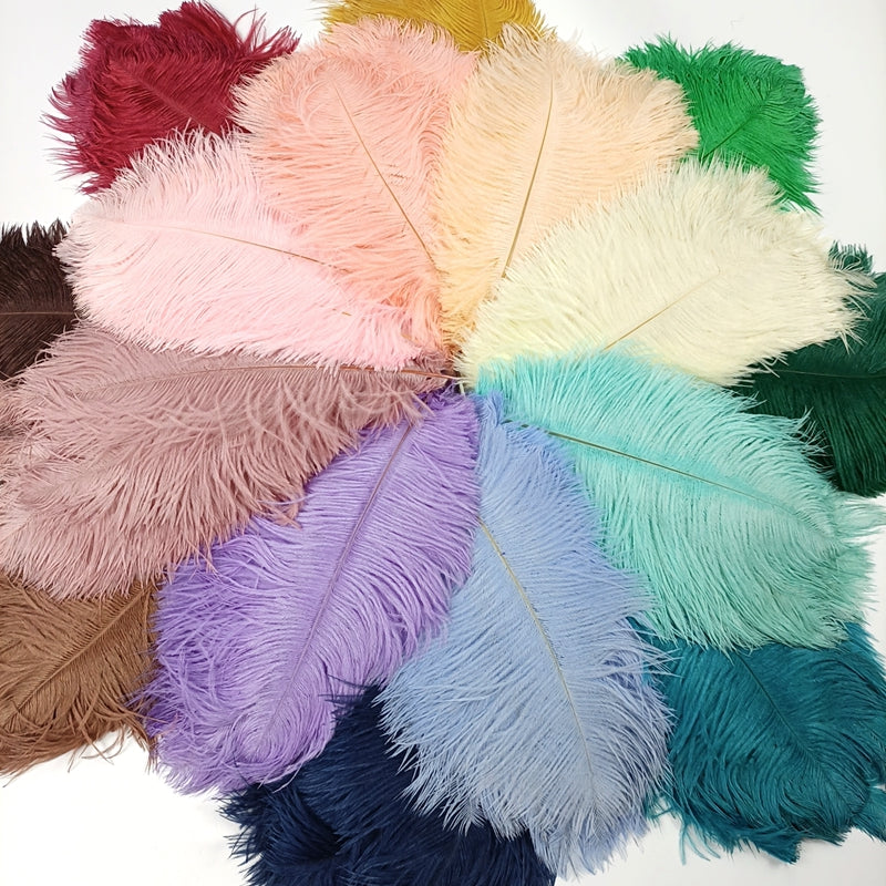 Ten Coloured Ostrich Feathers