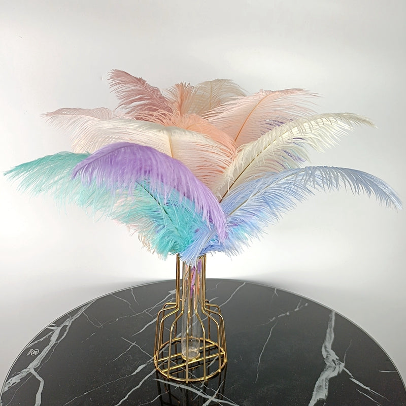 Ten Coloured Ostrich Feathers
