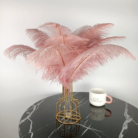 Ten Coloured Ostrich Feathers