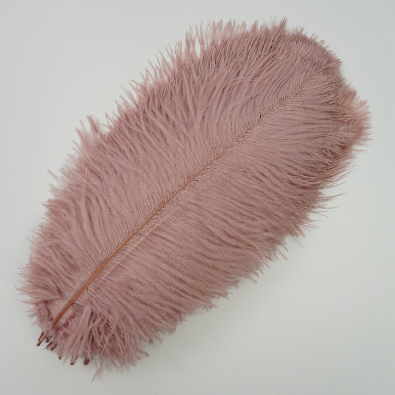 Ten Coloured Ostrich Feathers