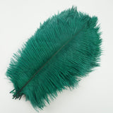 Ten Coloured Ostrich Feathers