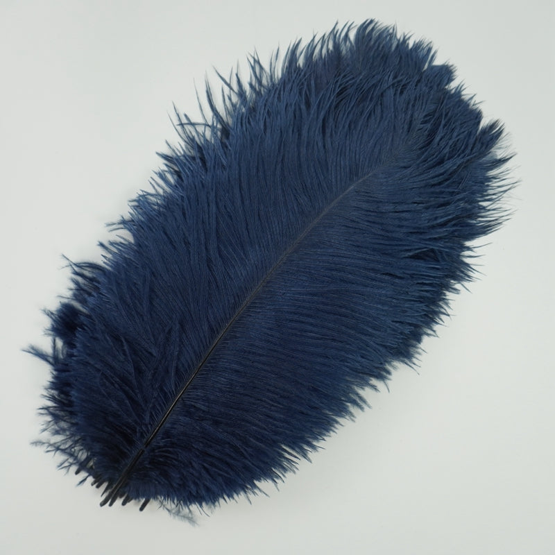 Ten Coloured Ostrich Feathers